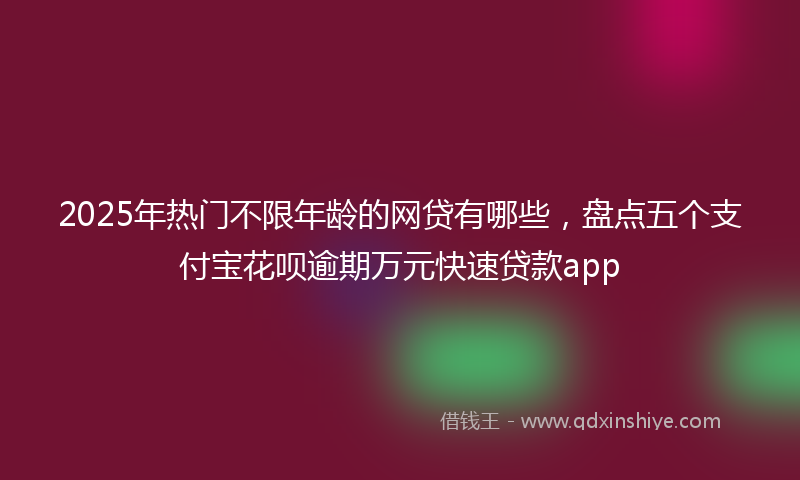 2025年热门不限年龄的网贷有哪些，盘点五个支付宝花呗逾期万元快速贷款app