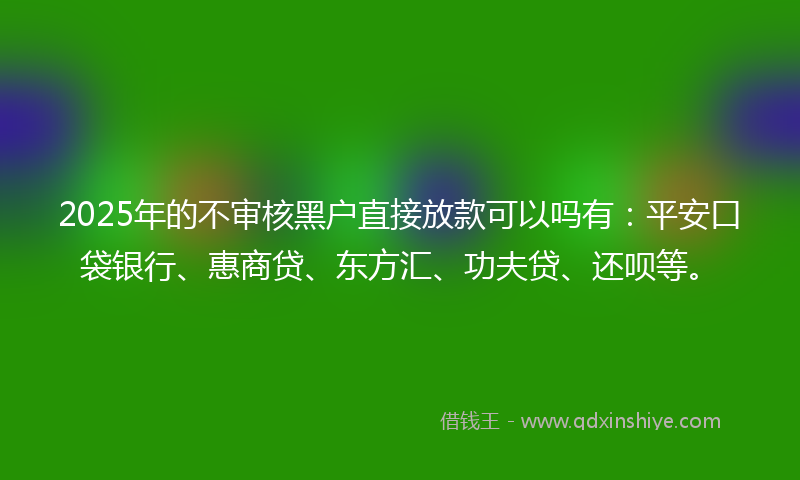 2025年的不审核黑户直接放款可以吗有：平安口袋银行、惠商贷、东方汇、功夫贷、还呗等。