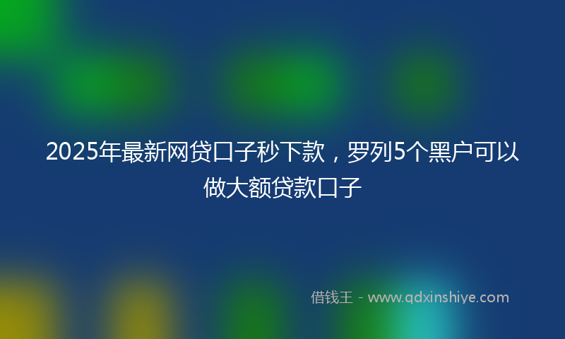 2025年最新网贷口子秒下款，罗列5个黑户可以做大额贷款口子