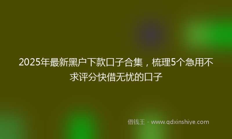 2025年最新黑户下款口子合集，梳理5个急用不求评分快借无忧的口子