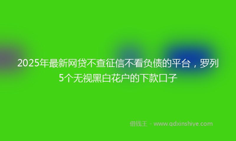 2025年最新网贷不查征信不看负债的平台，罗列5个无视黑白花户的下款口子