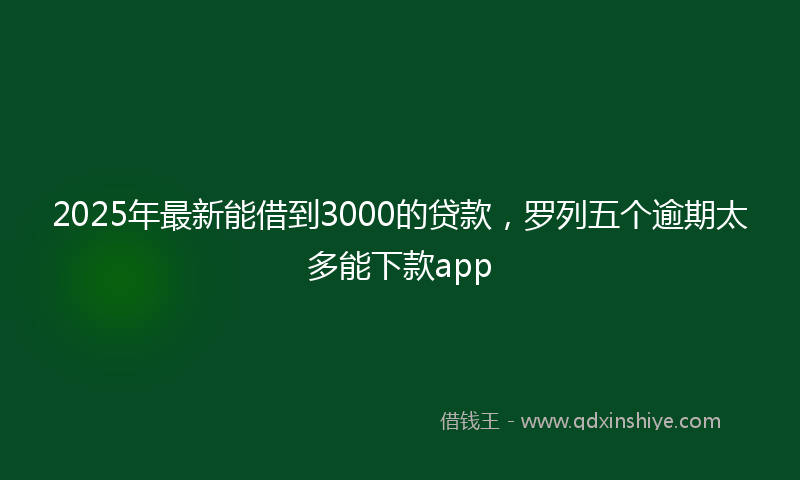 2025年最新能借到3000的贷款，罗列五个逾期太多能下款app