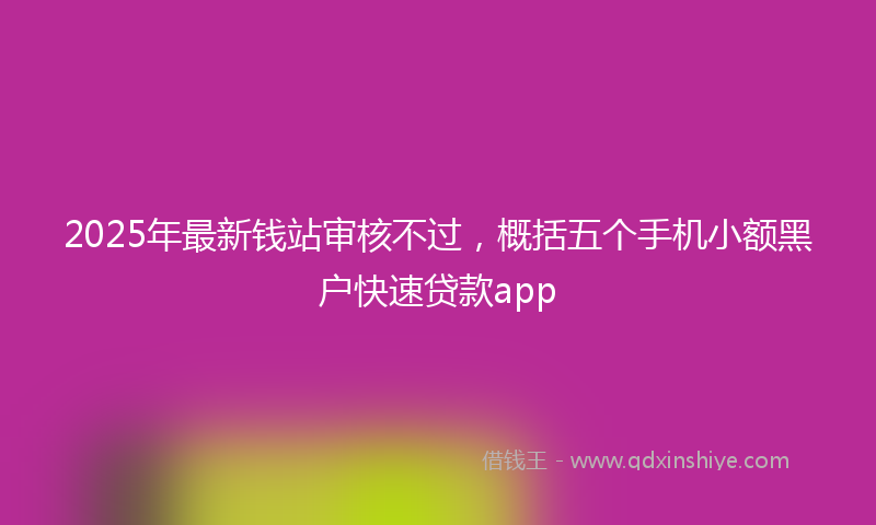 2025年最新钱站审核不过，概括五个手机小额黑户快速贷款app