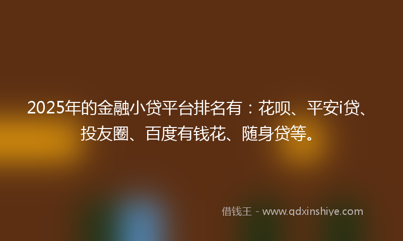 2025年的金融小贷平台排名有：花呗、平安i贷、投友圈、百度有钱花、随身贷等。