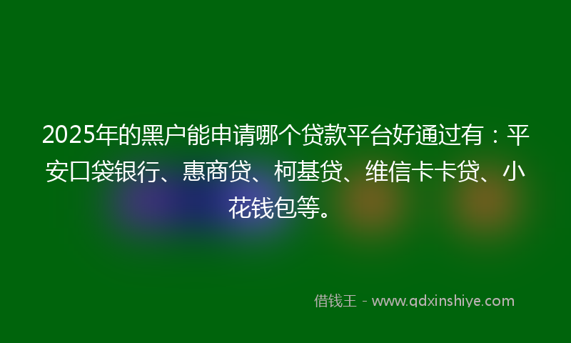 2025年的黑户能申请哪个贷款平台好通过有：平安口袋银行、惠商贷、柯基贷、维信卡卡贷、小花钱包等。