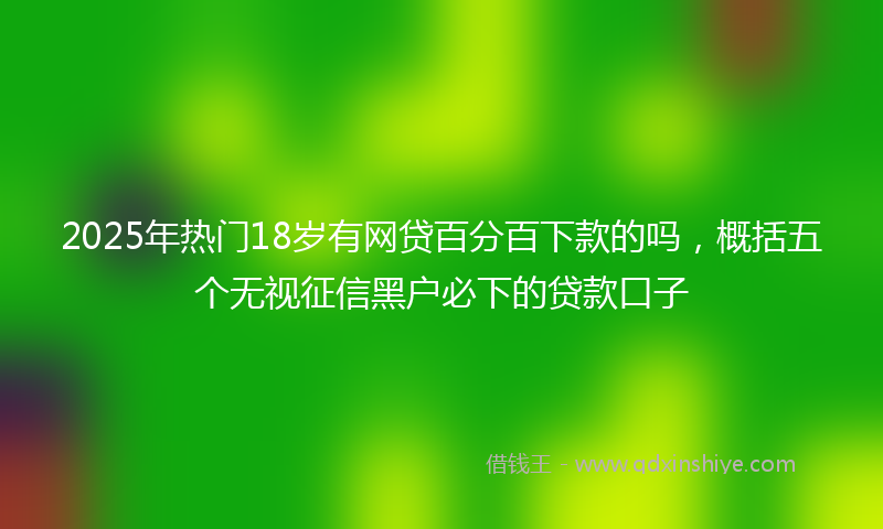 2025年热门18岁有网贷百分百下款的吗，概括五个无视征信黑户必下的贷款口子