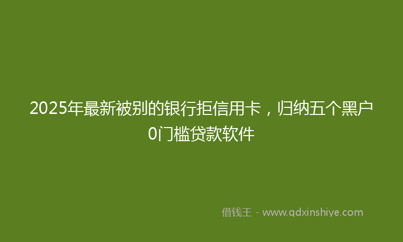 2025年最新被别的银行拒信用卡，归纳五个黑户0门槛贷款软件