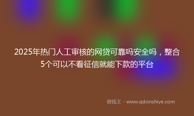 2025年热门人工审核的网贷可靠吗安全吗，整合5个可以不看征信就能下款的平台