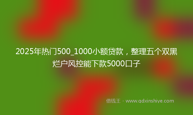 2025年热门500_1000小额贷款，整理五个双黑烂户风控能下款5000口子