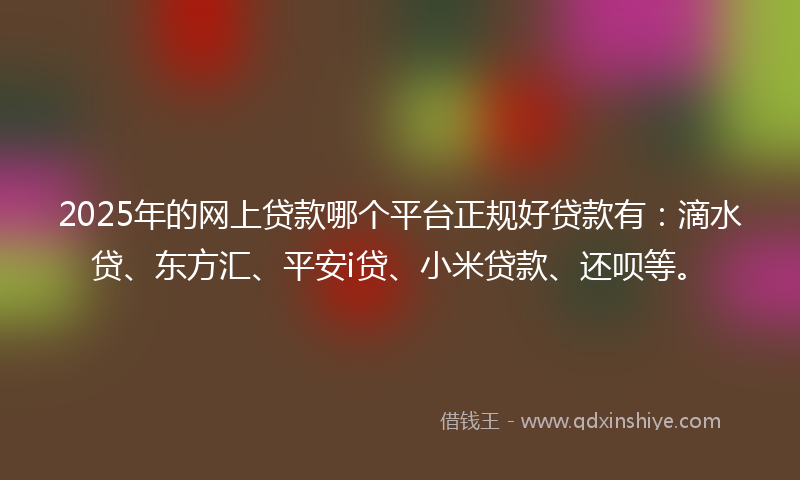 2025年的网上贷款哪个平台正规好贷款有：滴水贷、东方汇、平安i贷、小米贷款、还呗等。