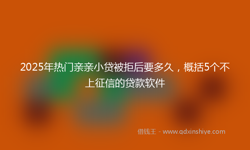 2025年热门亲亲小贷被拒后要多久，概括5个不上征信的贷款软件