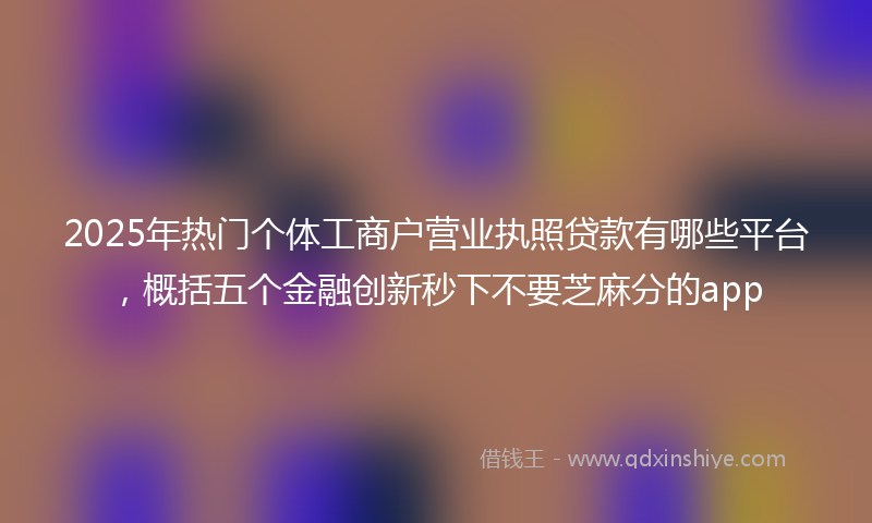 2025年热门个体工商户营业执照贷款有哪些平台，概括五个金融创新秒下不要芝麻分的app