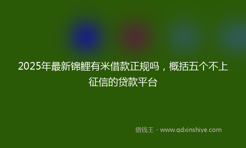 2025年最新锦鲤有米借款正规吗,概括五个不上征信的贷款平台