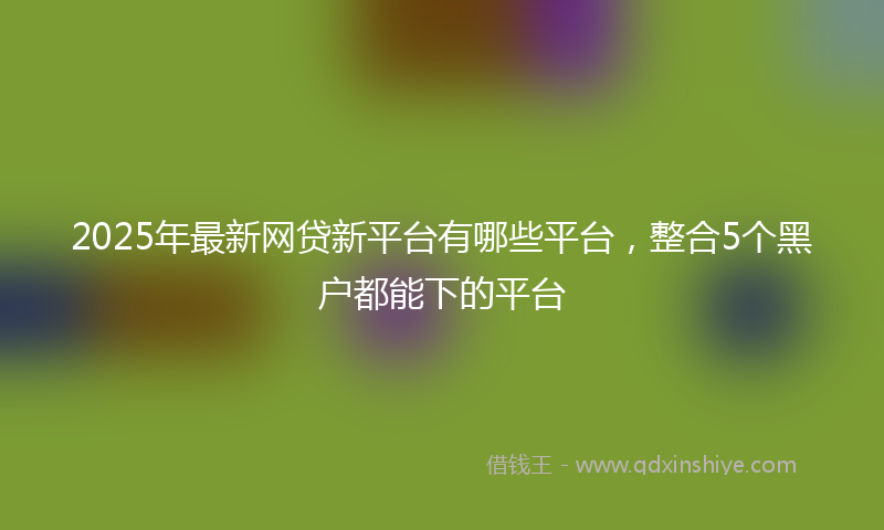 2025年最新网贷新平台有哪些平台，整合5个黑户都能下的平台