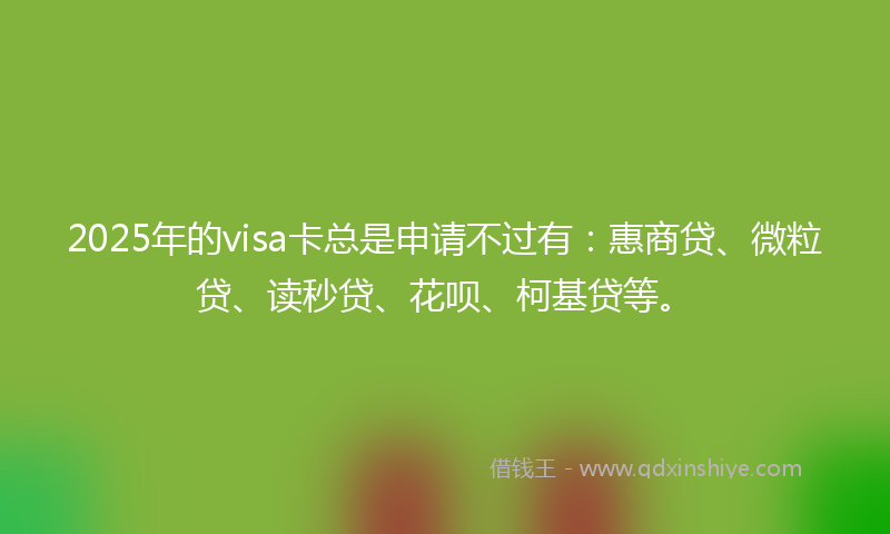 2025年的visa卡总是申请不过有：惠商贷、微粒贷、读秒贷、花呗、柯基贷等。