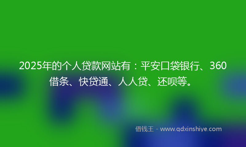 2025年的个人贷款网站有：平安口袋银行、360借条、快贷通、人人贷、还呗等。
