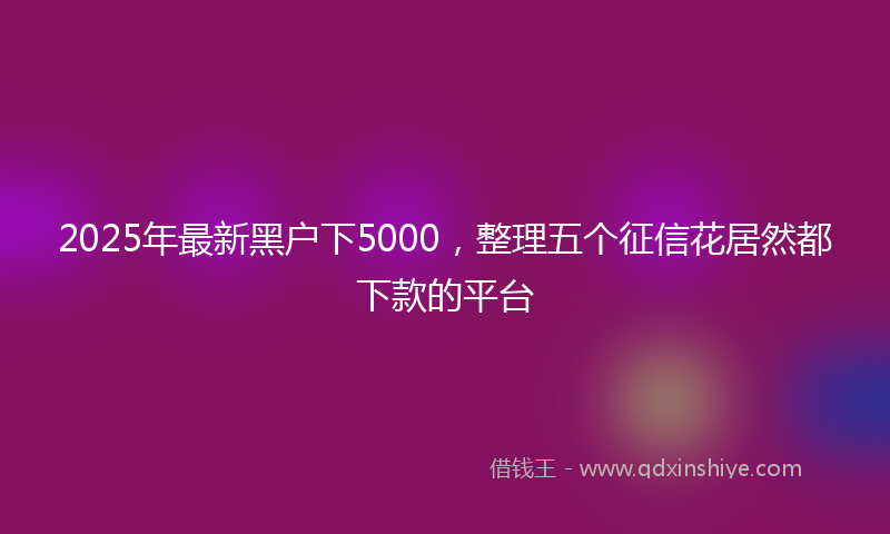 2025年最新黑户下5000，整理五个征信花居然都下款的平台