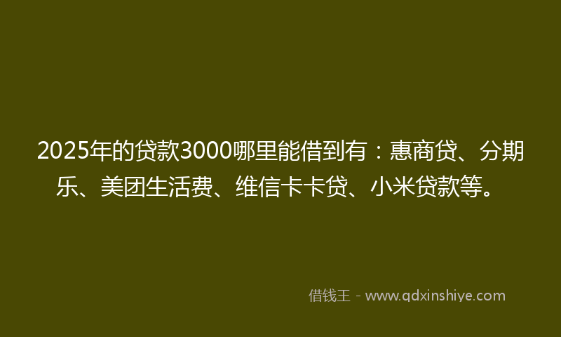 2025年的贷款3000哪里能借到有：惠商贷、分期乐、美团生活费、维信卡卡贷、小米贷款等。