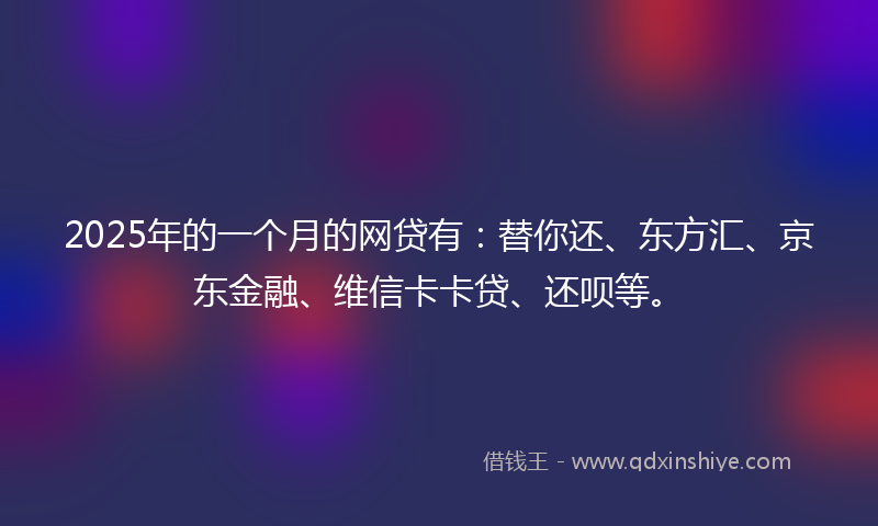 2025年的一个月的网贷有：替你还、东方汇、京东金融、维信卡卡贷、还呗等。