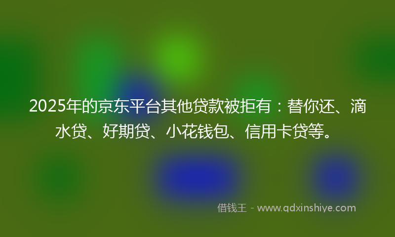 2025年的京东平台其他贷款被拒有：替你还、滴水贷、好期贷、小花钱包、信用卡贷等。