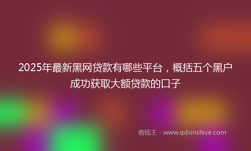2025年最新黑网贷款有哪些平台，概括五个黑户成功获取大额贷款的口子