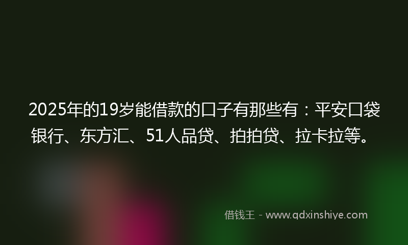 2025年的19岁能借款的口子有那些有：平安口袋银行、东方汇、51人品贷、拍拍贷、拉卡拉等。