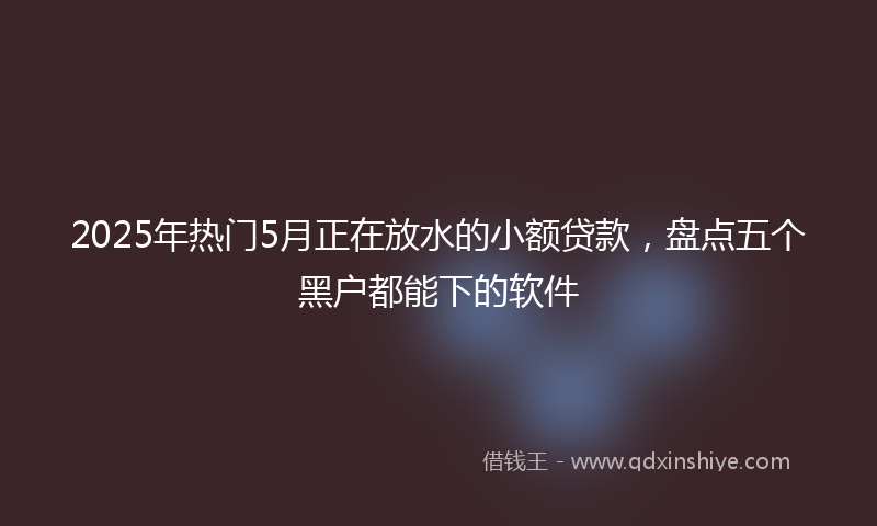 2025年热门5月正在放水的小额贷款，盘点五个黑户都能下的软件
