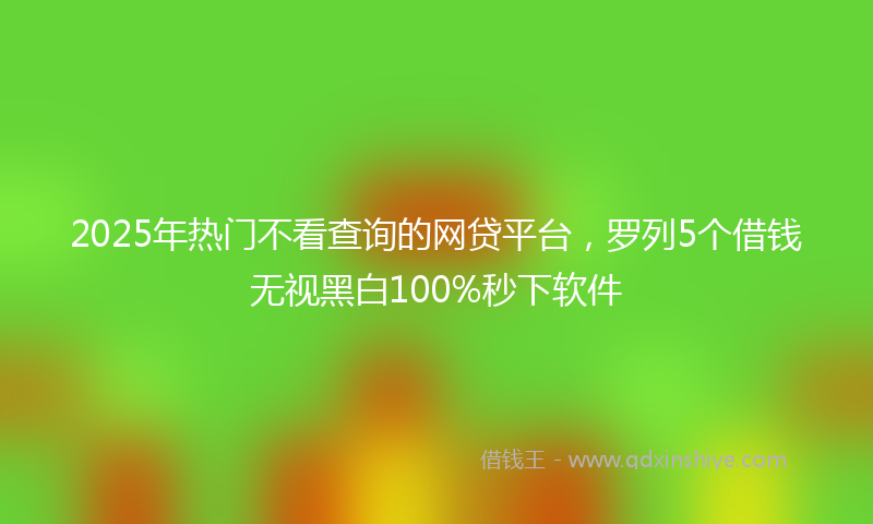2025年热门不看查询的网贷平台，罗列5个借钱无视黑白100%秒下软件