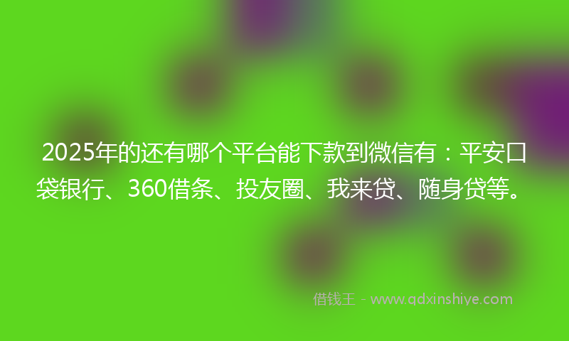 2025年的还有哪个平台能下款到微信有：平安口袋银行、360借条、投友圈、我来贷、随身贷等。