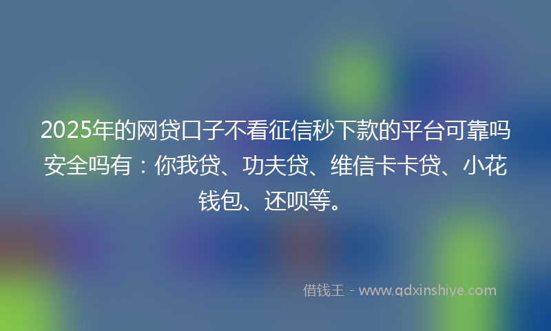 2025年的网贷口子不看征信秒下款的平台可靠吗安全吗有：你我贷、功夫贷、维信卡卡贷、小花钱包、还呗等。
