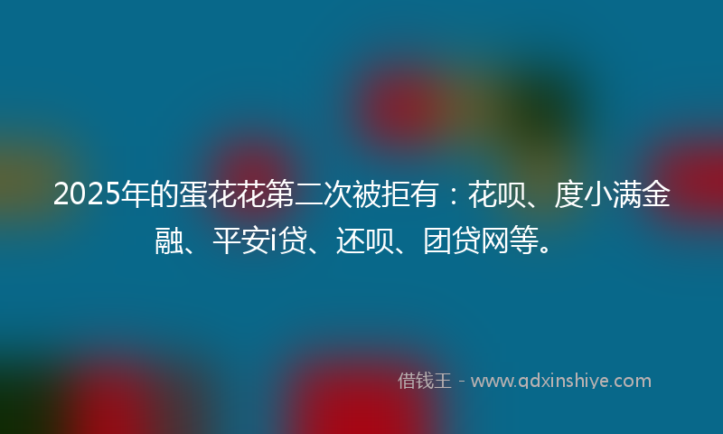 2025年的蛋花花第二次被拒有：花呗、度小满金融、平安i贷、还呗、团贷网等。