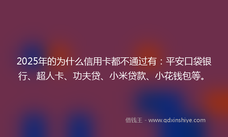 2025年的为什么信用卡都不通过有：平安口袋银行、超人卡、功夫贷、小米贷款、小花钱包等。