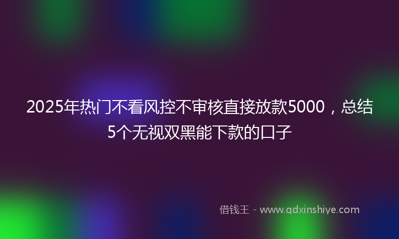2025年热门不看风控不审核直接放款5000，总结5个无视双黑能下款的口子