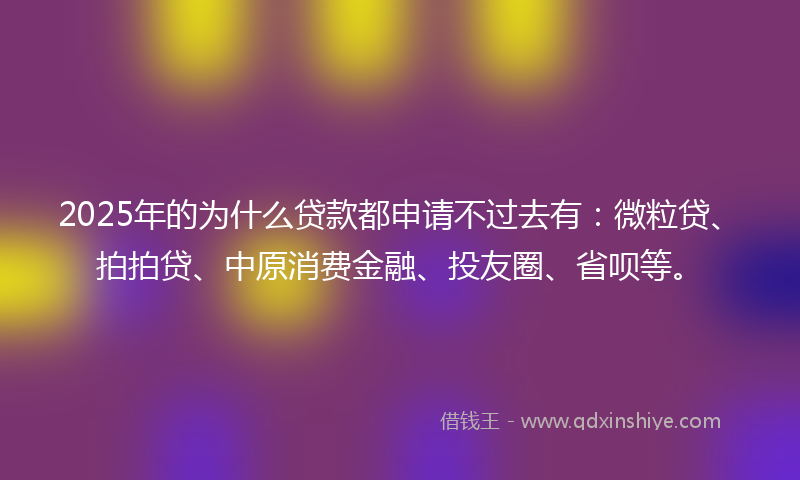 2025年的为什么贷款都申请不过去有：微粒贷、拍拍贷、中原消费金融、投友圈、省呗等。