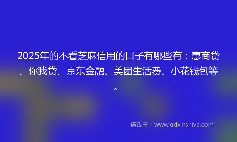2025年的不看芝麻信用的口子有哪些有：惠商贷、你我贷、京东金融、美团生活费、小花钱包等。