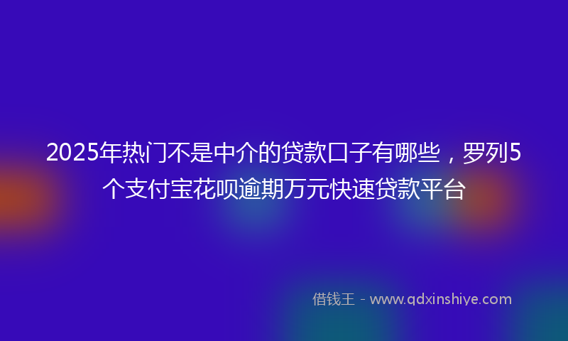 2025年热门不是中介的贷款口子有哪些，罗列5个支付宝花呗逾期万元快速贷款平台