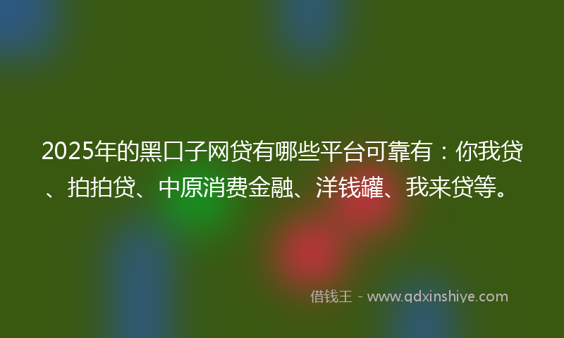 2025年的黑口子网贷有哪些平台可靠有：你我贷、拍拍贷、中原消费金融、洋钱罐、我来贷等。
