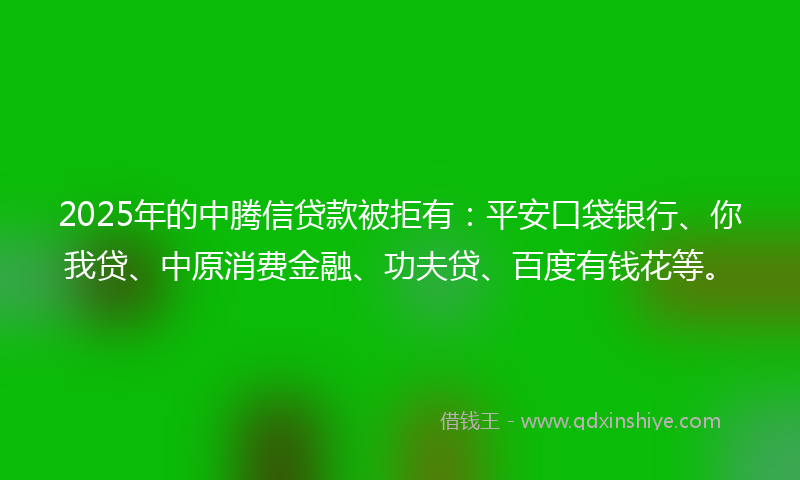 2025年的中腾信贷款被拒有：平安口袋银行、你我贷、中原消费金融、功夫贷、百度有钱花等。