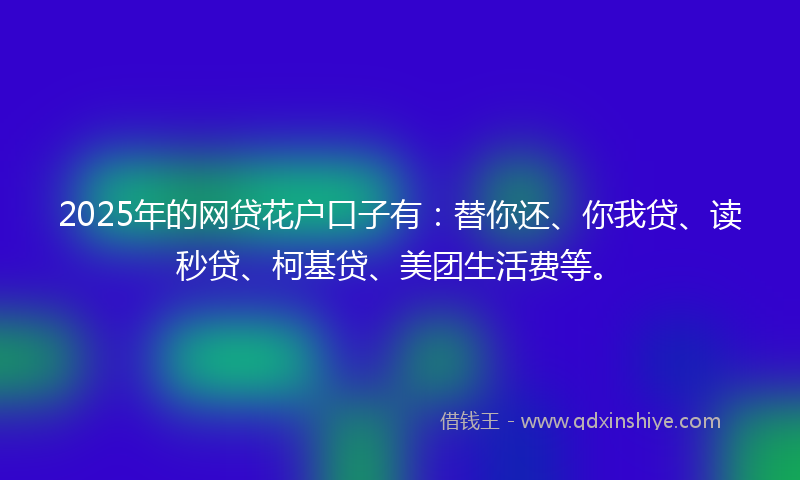 2025年的网贷花户口子有：替你还、你我贷、读秒贷、柯基贷、美团生活费等。