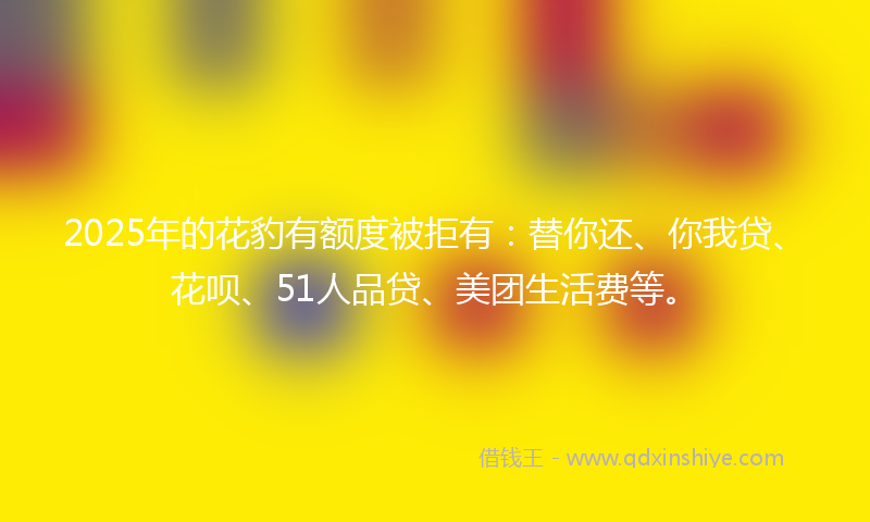 2025年的花豹有额度被拒有：替你还、你我贷、花呗、51人品贷、美团生活费等。