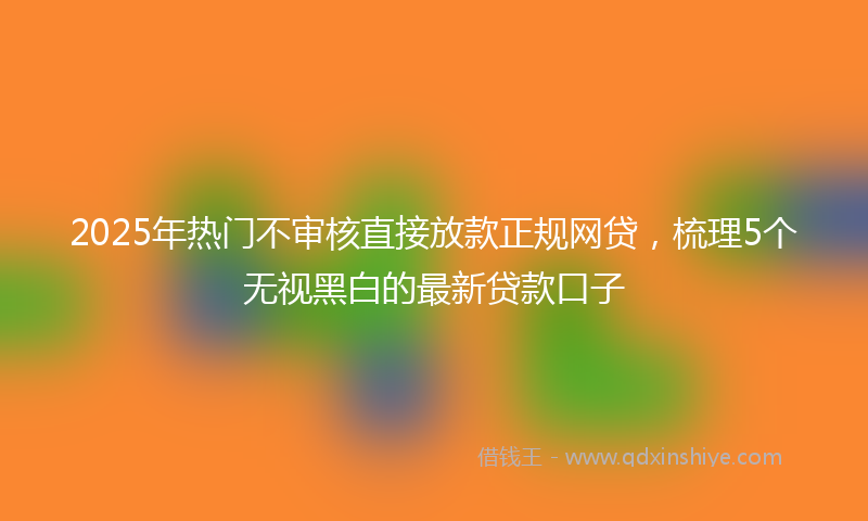 2025年热门不审核直接放款正规网贷，梳理5个无视黑白的最新贷款口子