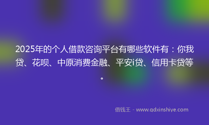 2025年的个人借款咨询平台有哪些软件有：你我贷、花呗、中原消费金融、平安i贷、信用卡贷等。