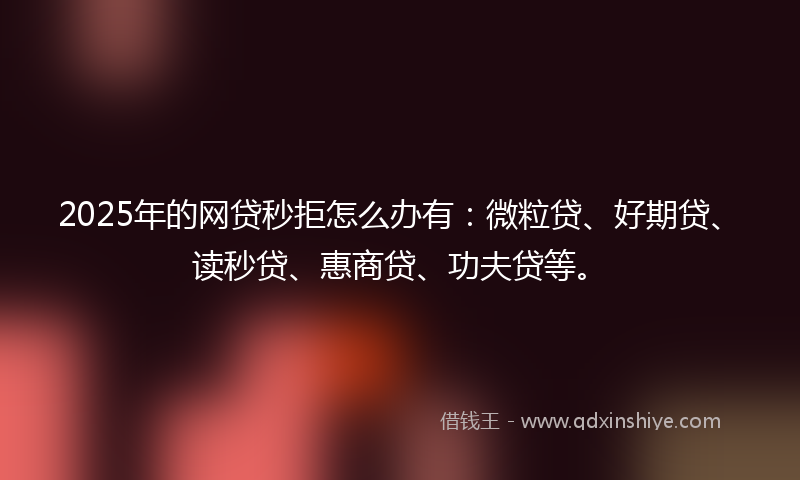 2025年的网贷秒拒怎么办有：微粒贷、好期贷、读秒贷、惠商贷、功夫贷等。