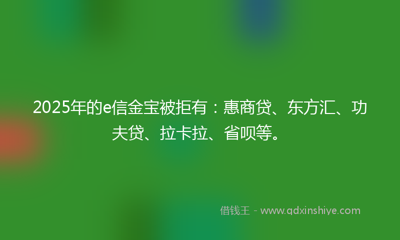 2025年的e信金宝被拒有：惠商贷、东方汇、功夫贷、拉卡拉、省呗等。