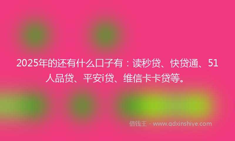 2025年的还有什么口子有：读秒贷、快贷通、51人品贷、平安i贷、维信卡卡贷等。