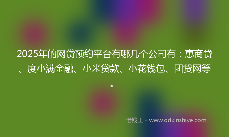 2025年的网贷预约平台有哪几个公司有：惠商贷、度小满金融、小米贷款、小花钱包、团贷网等。