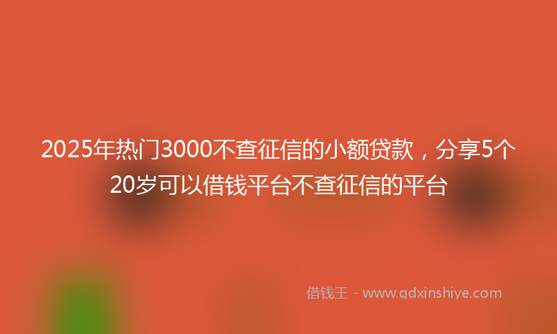 2025年热门3000不查征信的小额贷款，分享5个20岁可以借钱平台不查征信的平台