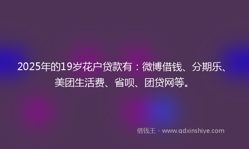 2025年的19岁花户贷款有：微博借钱、分期乐、美团生活费、省呗、团贷网等。
