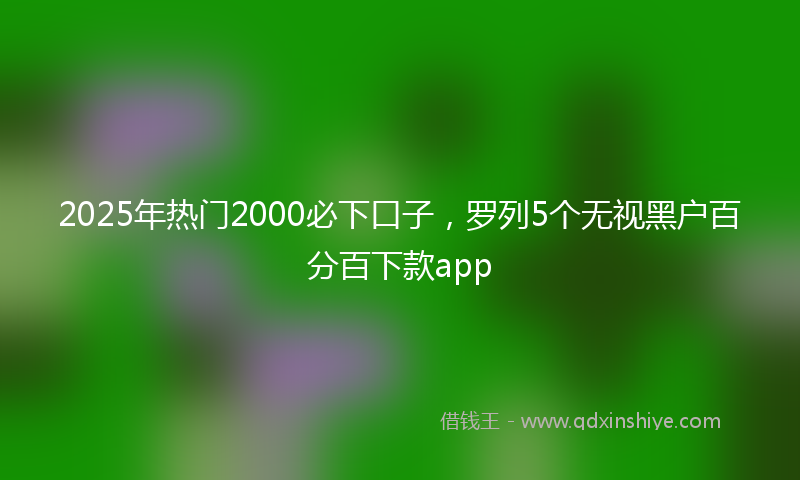 2025年热门2000必下口子，罗列5个无视黑户百分百下款app
