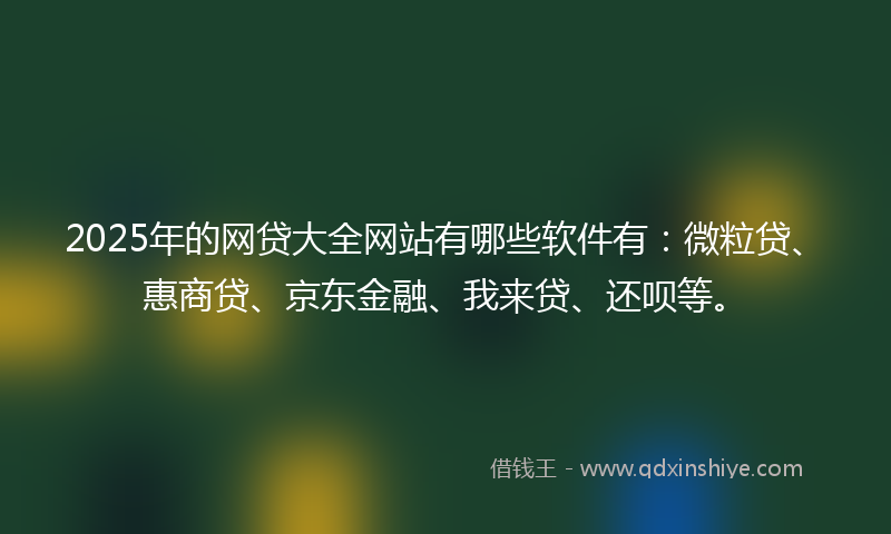 2025年的网贷大全网站有哪些软件有：微粒贷、惠商贷、京东金融、我来贷、还呗等。